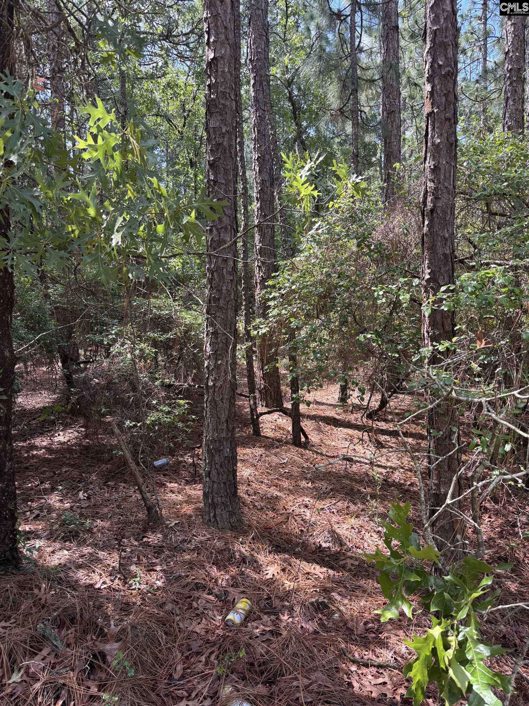 Lot 1 Gary Hallman Circle, Leesville, SC 29070