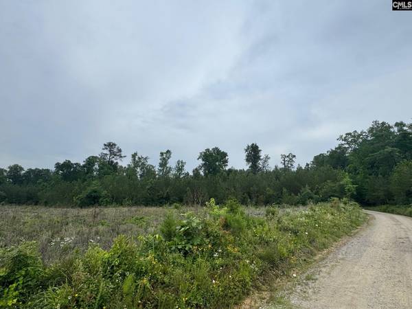 0 Ebb Mack Road #Lot 5, Saluda, SC 29138
