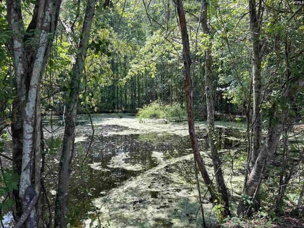 4141 Edmund Highway, West Columbia, SC 29170-1413