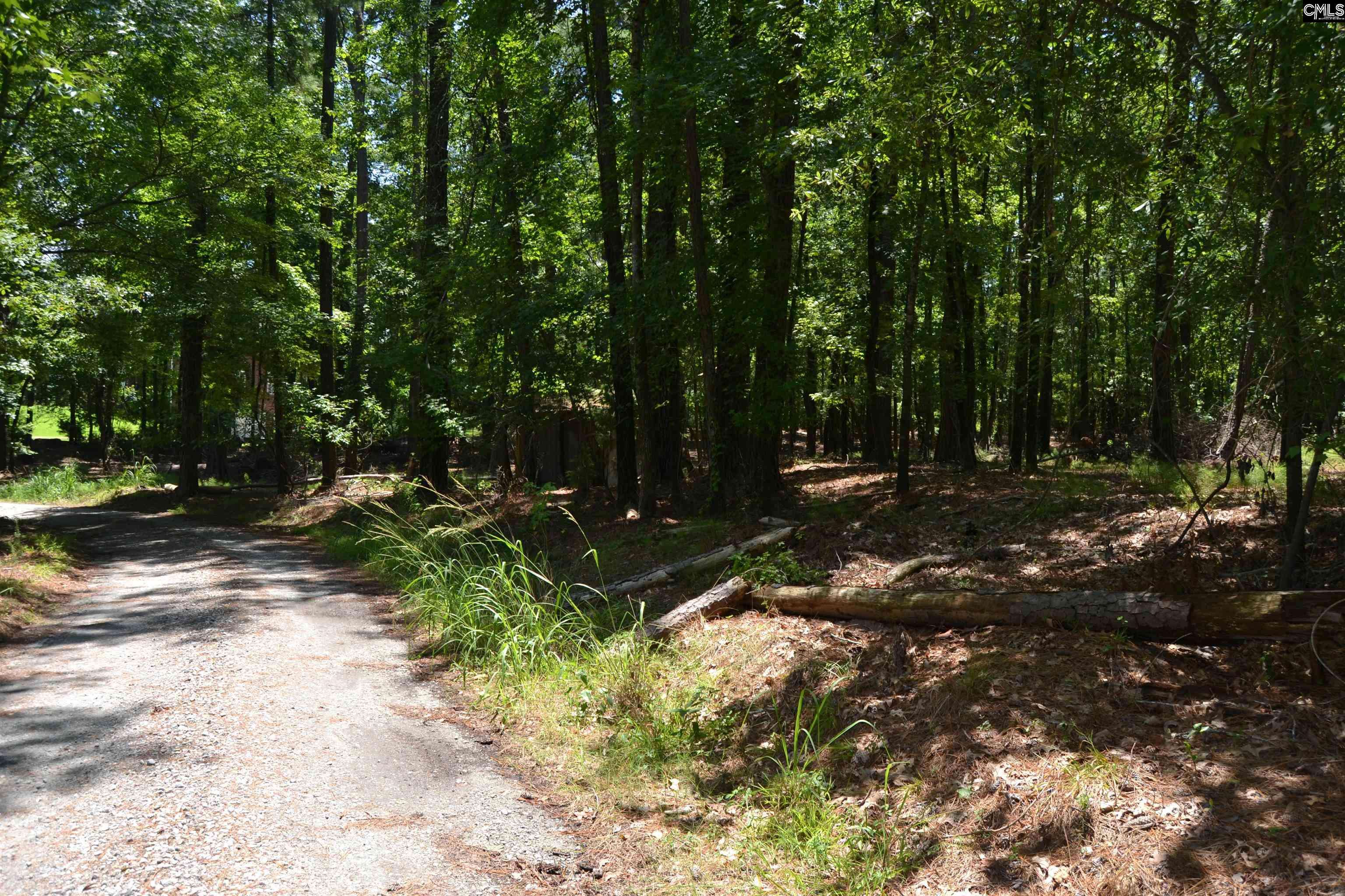 124 Bri Lor Court, Chapin, SC 29036