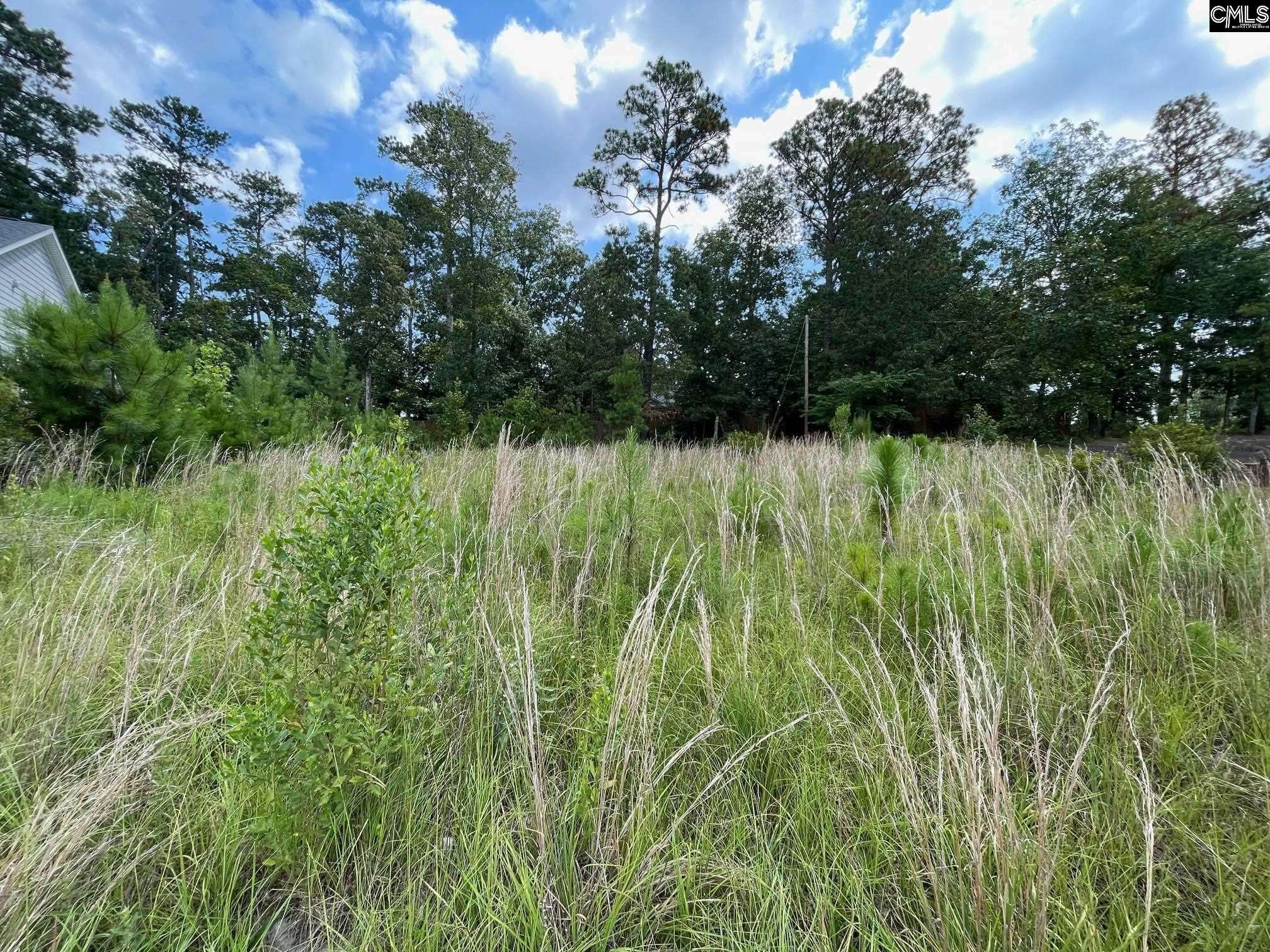 769 Club Cottage Drive #48, Blythewood, SC 29016