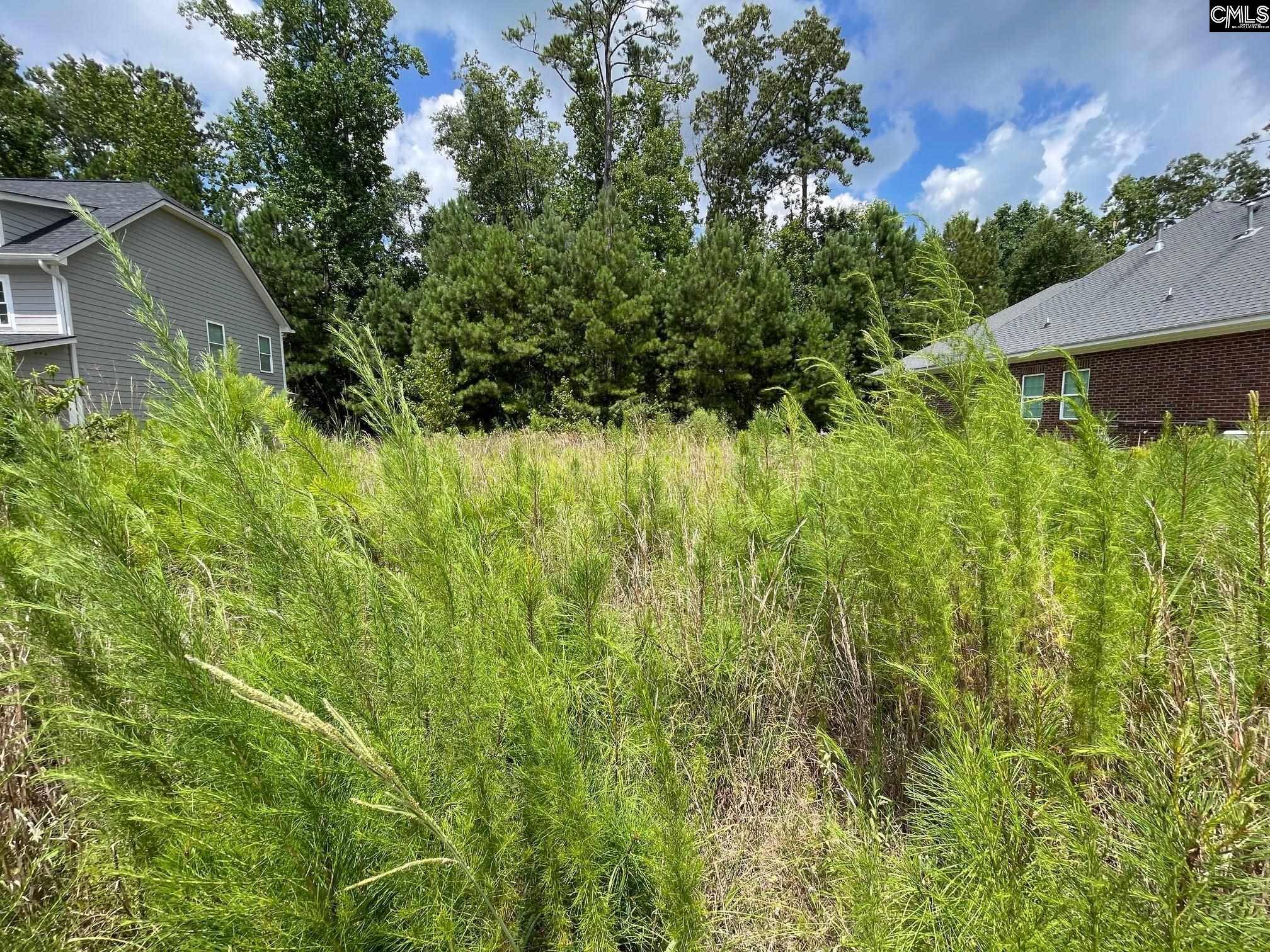 84 Dogwood Cottage Court #37, Blythewood, SC 29016