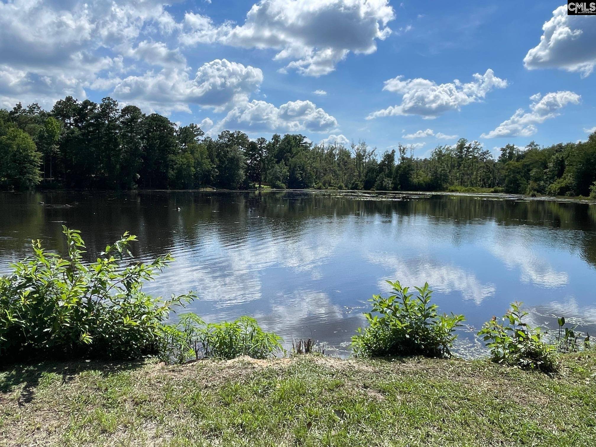 3318 Hollydale Drive #84, West Columbia, SC 29170