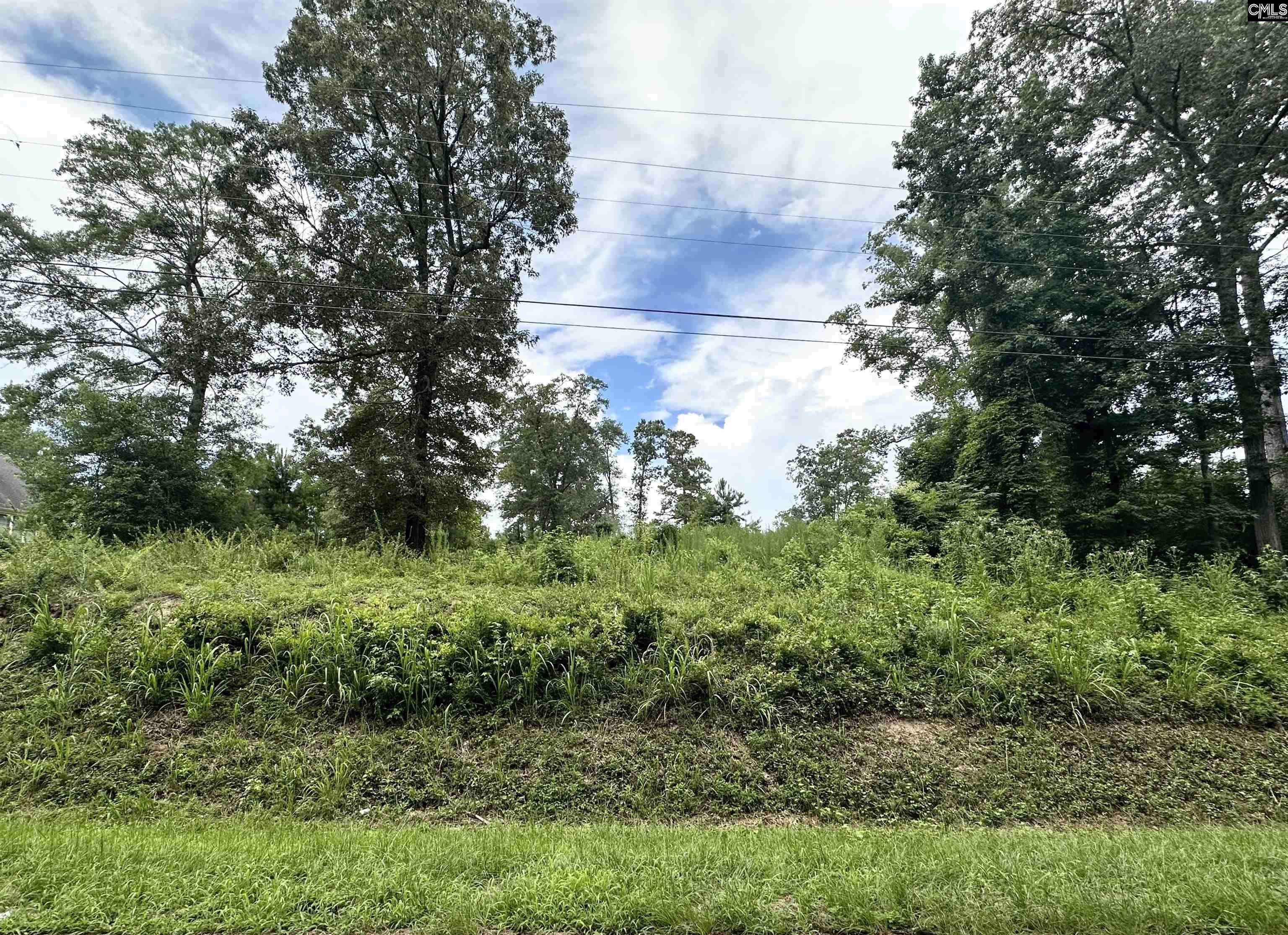 0 Country Club Rd, St. Matthews, SC 29135