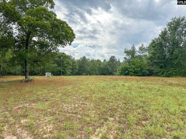 165 Carlton Drive, Batesburg, SC 29006