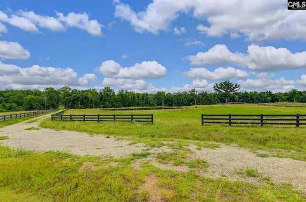 2544 Wessinger Road #Lot 3, Chapin, SC 29036