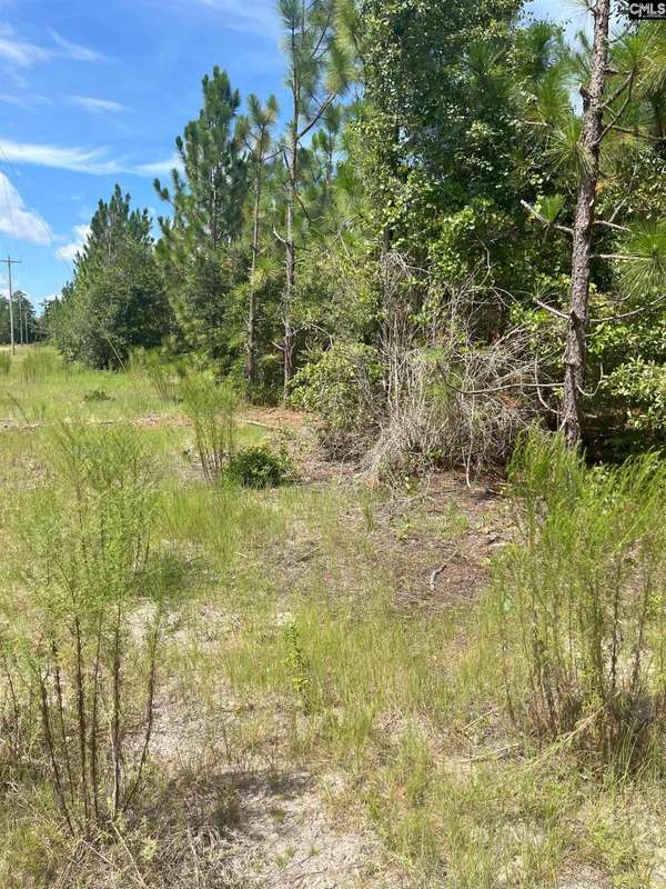 PPF 6 Payne Pond Road PPF 6 #PPF 6, Westville, SC 29175