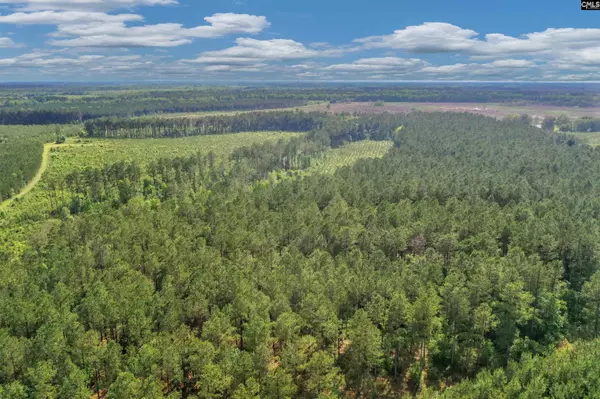 0000 N Brewington 9, Manning, SC 29102