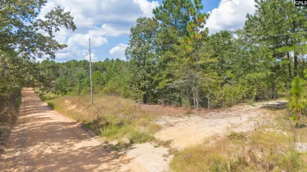 Bachman Dykes Road, Swansea, SC 29160