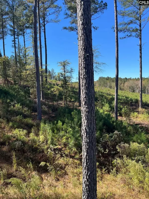 Pacolet, SC 29372,DRF 5 Dawkins Road DRF 5