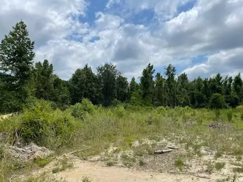 Eastman, GA 31023,0 Gooch Rd (Lot F)