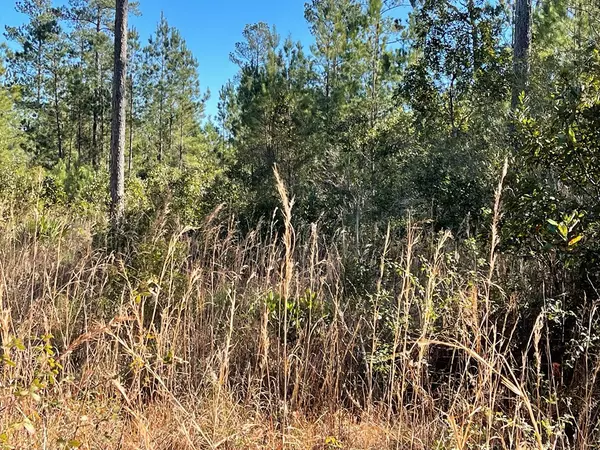 Waynesville, GA 31566,0 Landing Trail