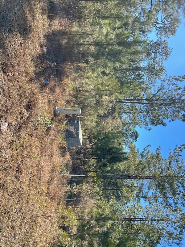 Waynesville, GA 31566,0 Landing Trail