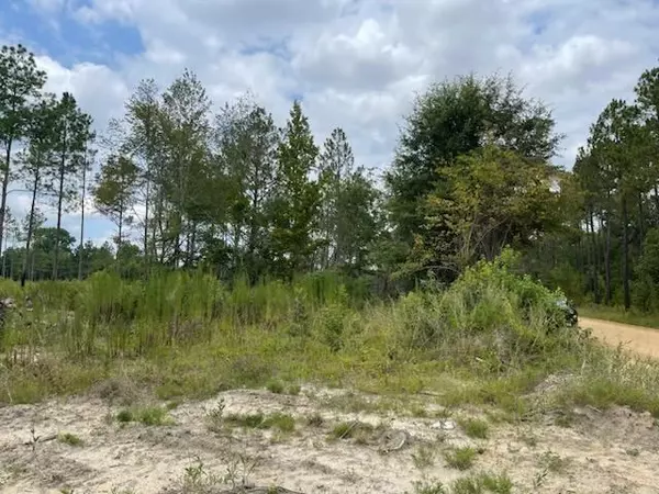 Eastman, GA 31023,00 Gooch Rd - Lot C