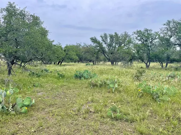 Harper, TX 78631,000 Wendel Rd