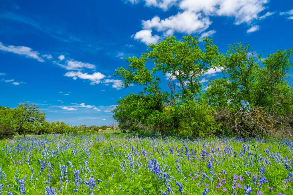 Harper, TX 78631,0 Jung Rd