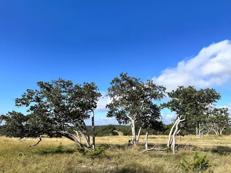 Lot 41 Buckskin Path, Fredericksburg, TX 78624