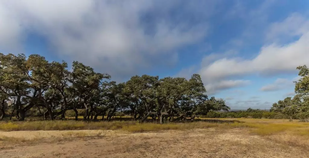 Lot 1 Legacy Hills Dr, Johnson City, TX 78636