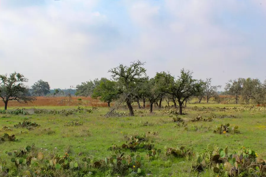 265 Apache Trace, Harper, TX 78631