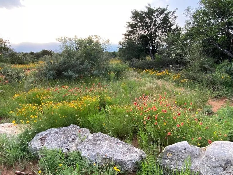 Tract 11 Jack Rabbit Rd, Doss, TX 78618