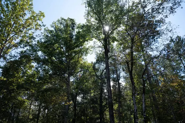 Columbus, GA 31904,8809 Creekrise Drive