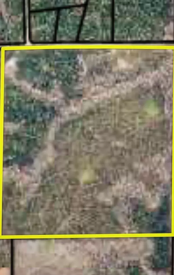 Hamilton, GA 31811,3621 Fortune Hole Road