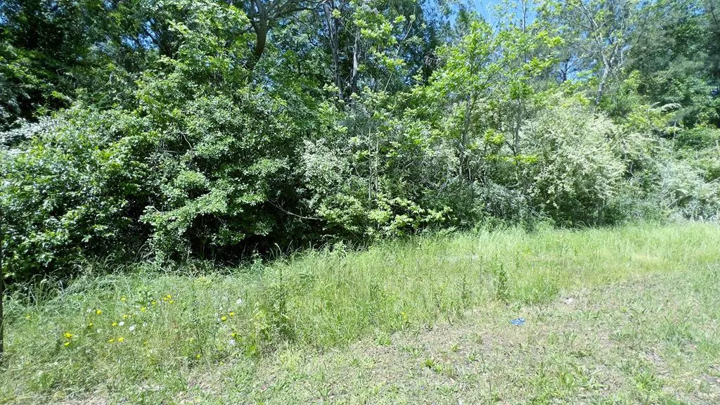 Phenix City, AL 36867,304 11th Street South