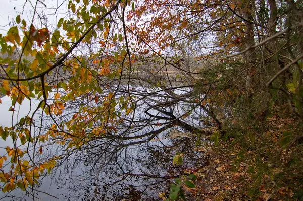 West Point, GA 31833,0 Pine Lake Drive