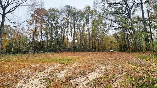 Cusseta, GA 31805,104 Ranch Road