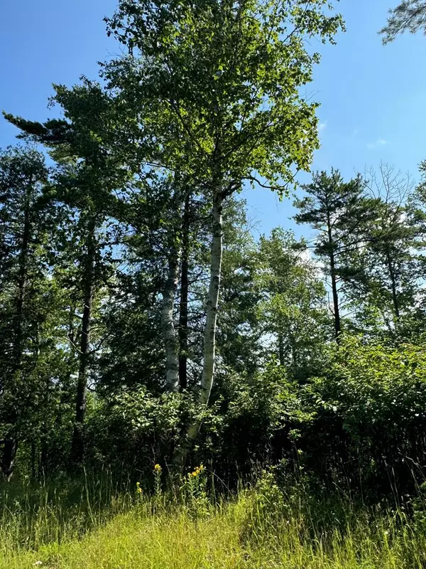 Fish Creek, WI 54212,#5 Eagle Ledge Ln