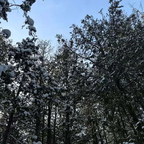 Baileys Harbor, WI 54202,Lot 12 Standing Stone Ln