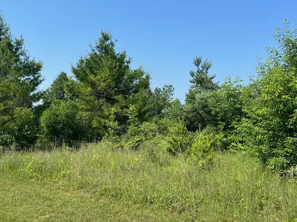Egg Harbor, WI 54209,4267 Orchards Tr