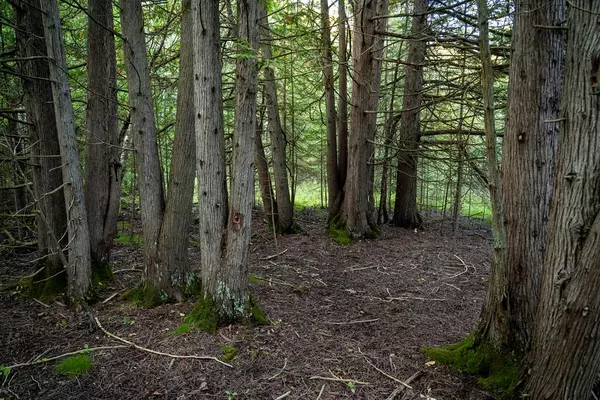Sturgeon Bay, WI 54235,Lot 10 Idlewild Woods Dr