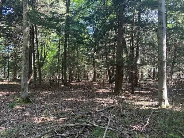 Egg Harbor, WI 54209,TBD Creekside Ln