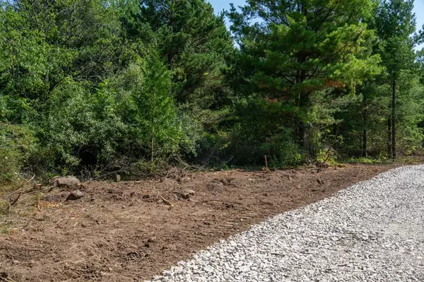 Sister Bay, WI 54234,Lot  2 Scandia Rd