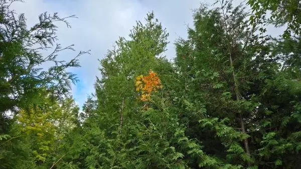 Sister Bay, WI 54234,Lot 6 Wildwood Ct