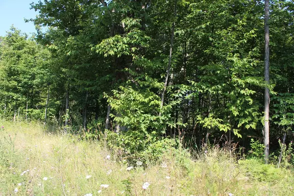 Ellison Bay, WI 54210,Lot A2 Humbug Rd