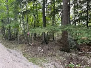 Ellison Bay, WI 54210,Lot 37 Fawn Ln