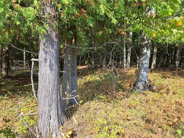 Sturgeon Bay, WI 54235,Sawyer Dr