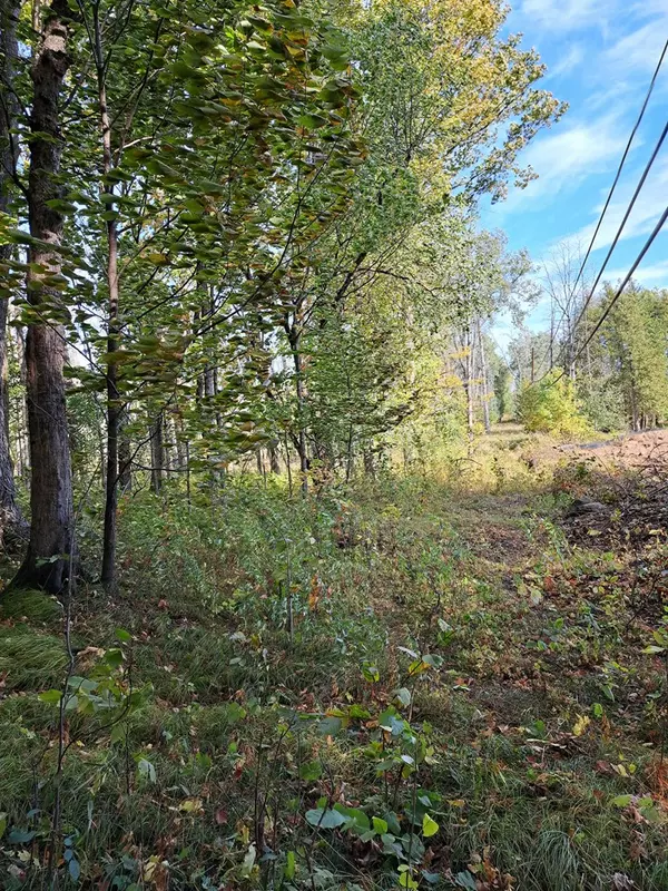 Sturgeon Bay, WI 54235,Meadow Ln