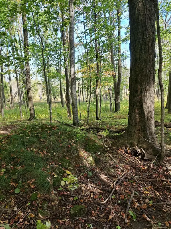 Sturgeon Bay, WI 54235,Meadow Ln