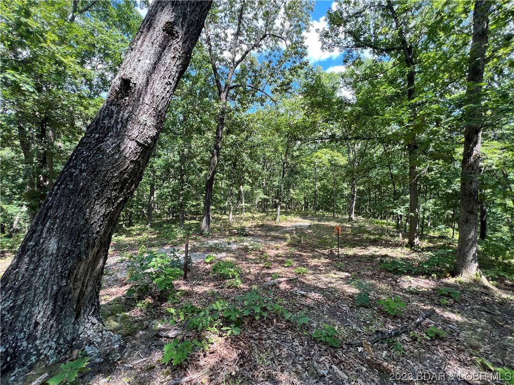 Lot F Mini Farm DR, Gravois Mills, MO 65037