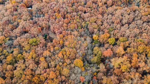 Barnett, MO 65011,28.21 Panarama LN