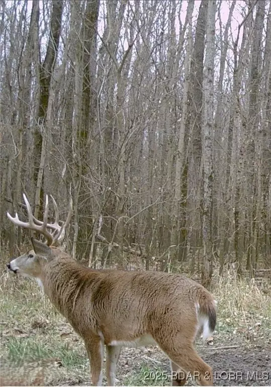 Out Of Area (bdar), MO 64601,TBD US Hwy 65 Lot#WP001