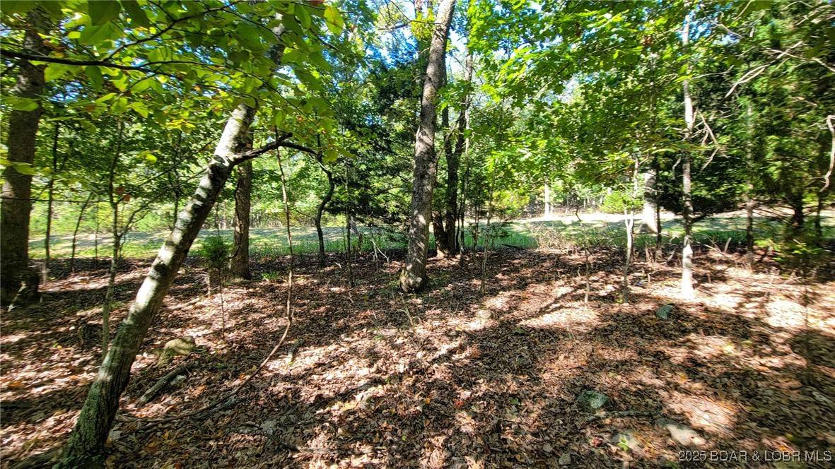 Porto Cima, MO 65079,Lot #670 Grand Point BLVD