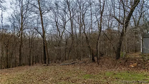 Lake Ozark, MO 65049,Lot 1069 Alton CT