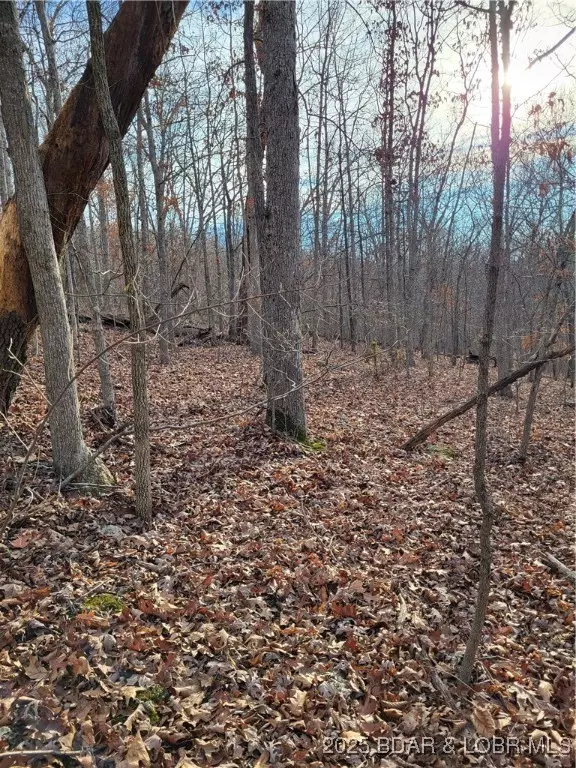 Edwards, MO 65326,Lazy Acres Lots RD