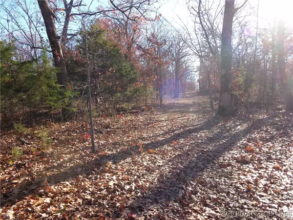 Gravois Mills, MO 65037,Hwy 135