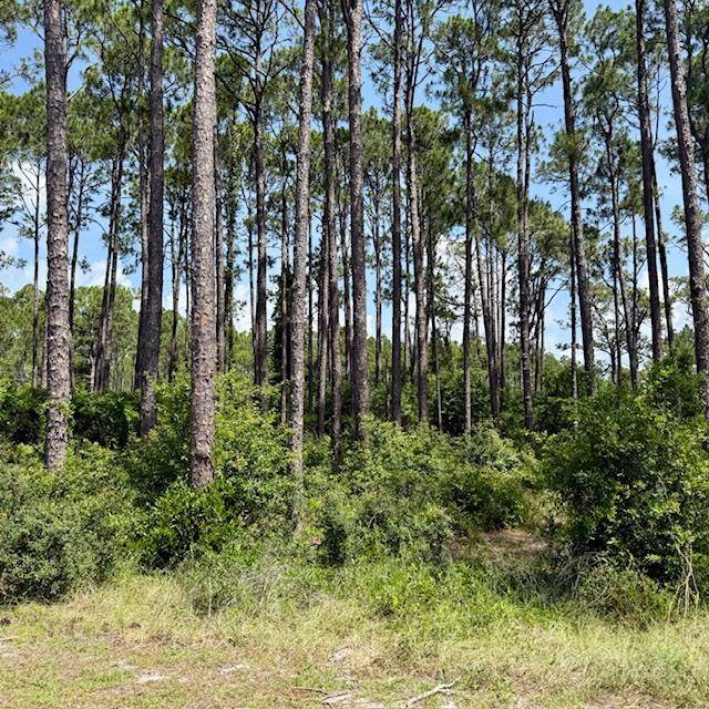 3471 Firefly Cir, Carrabelle, FL 32358