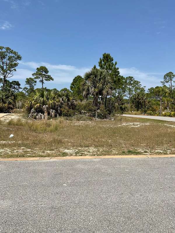 Lot 47 Jubilation Dr, Cape San Blas, FL 32456